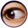 eye.gif (16666 bytes)
